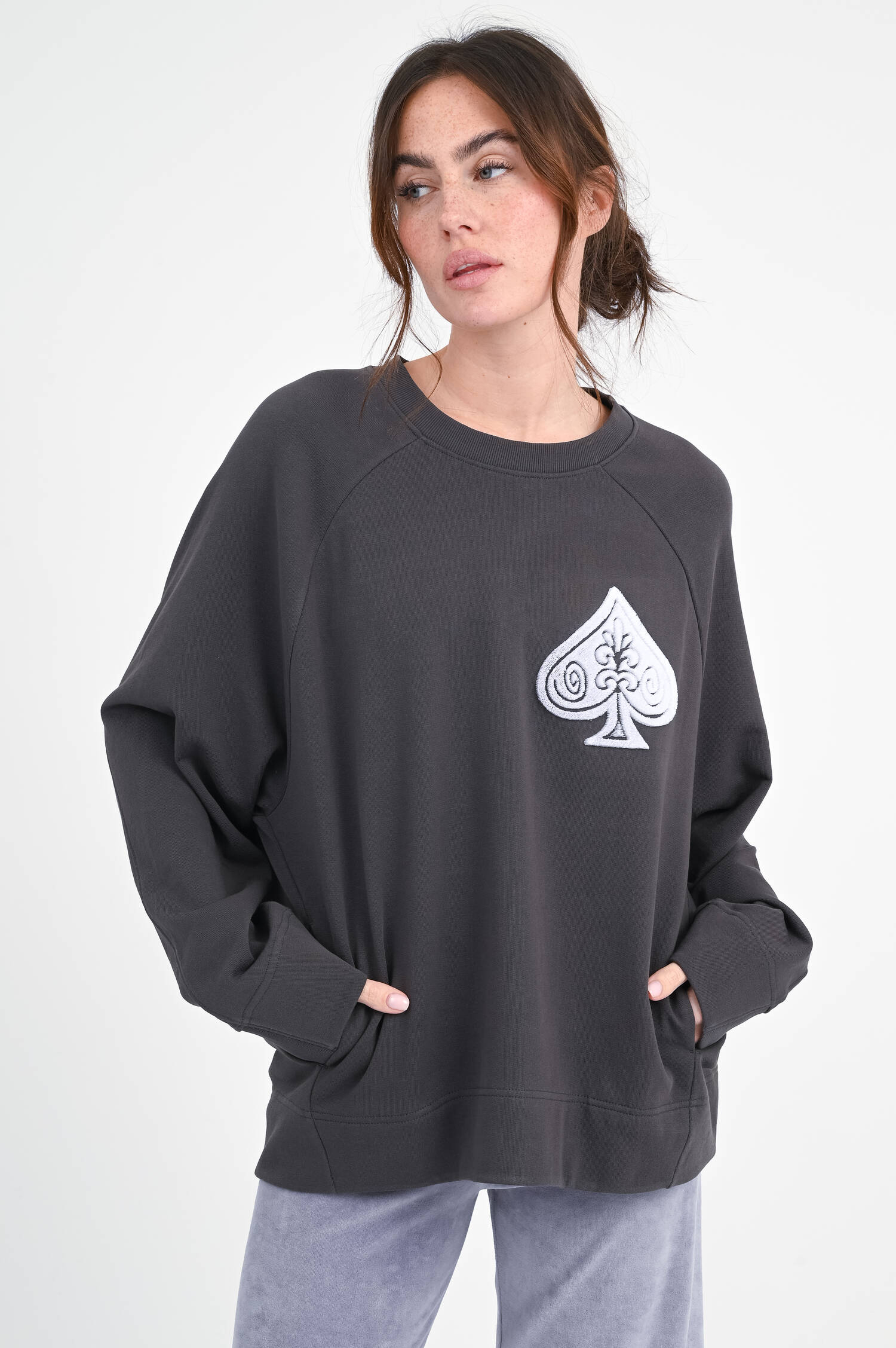 Sweatshirt FELIS in Dolphin