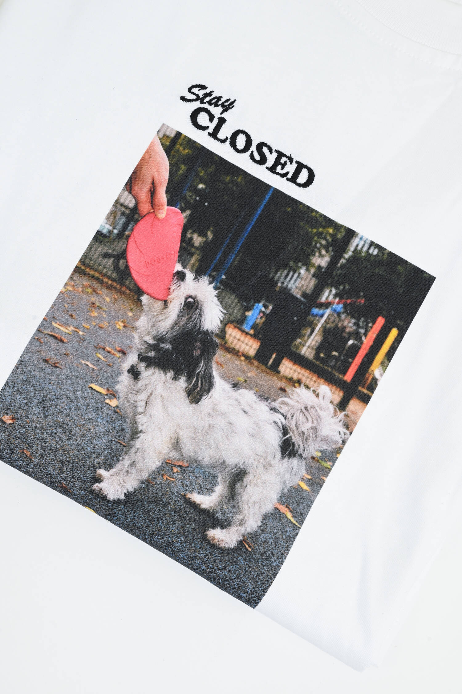 T-Shirt mit Print und Stickerei in Weiß