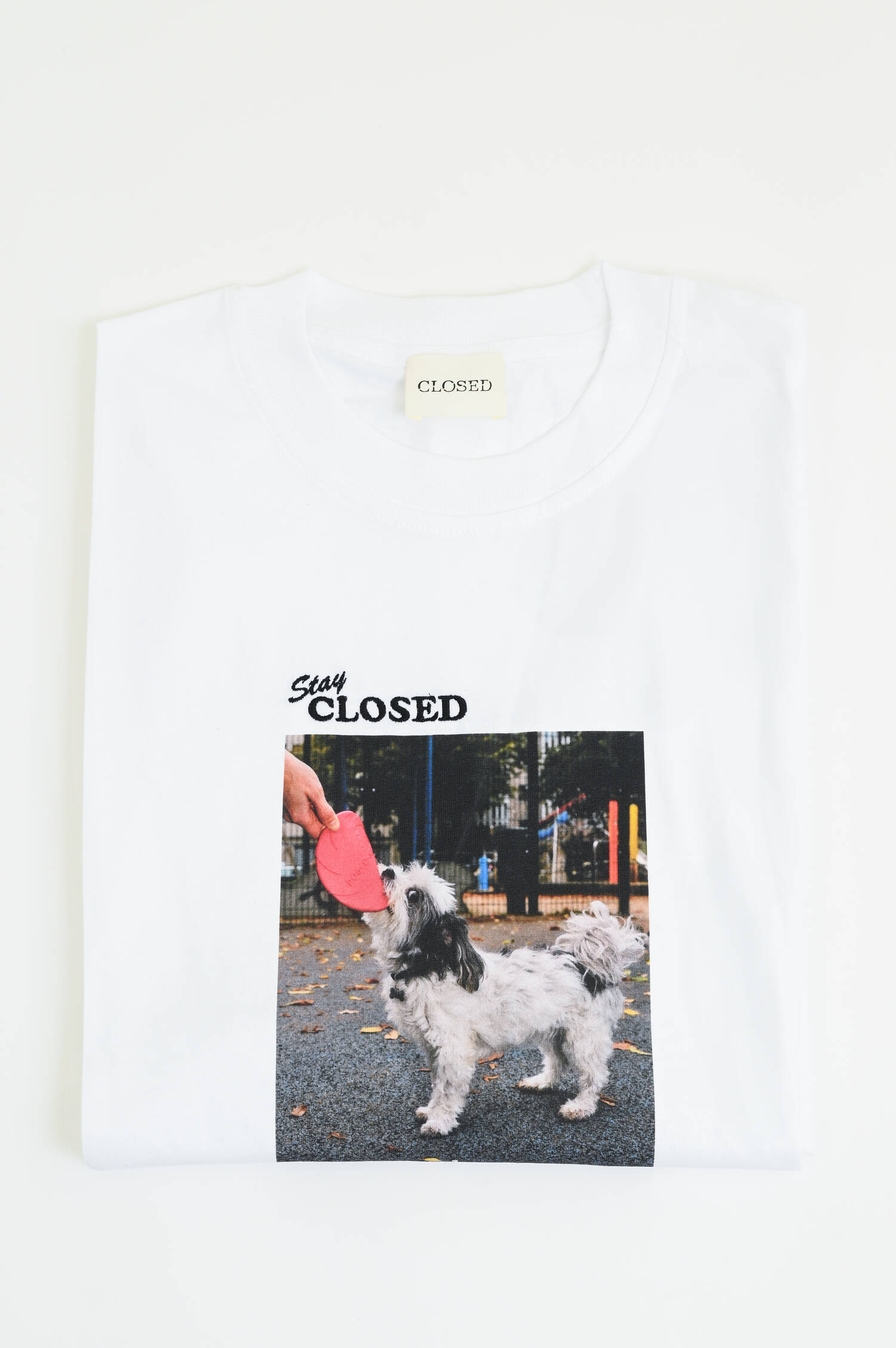 T-Shirt mit Print und Stickerei in Weiß